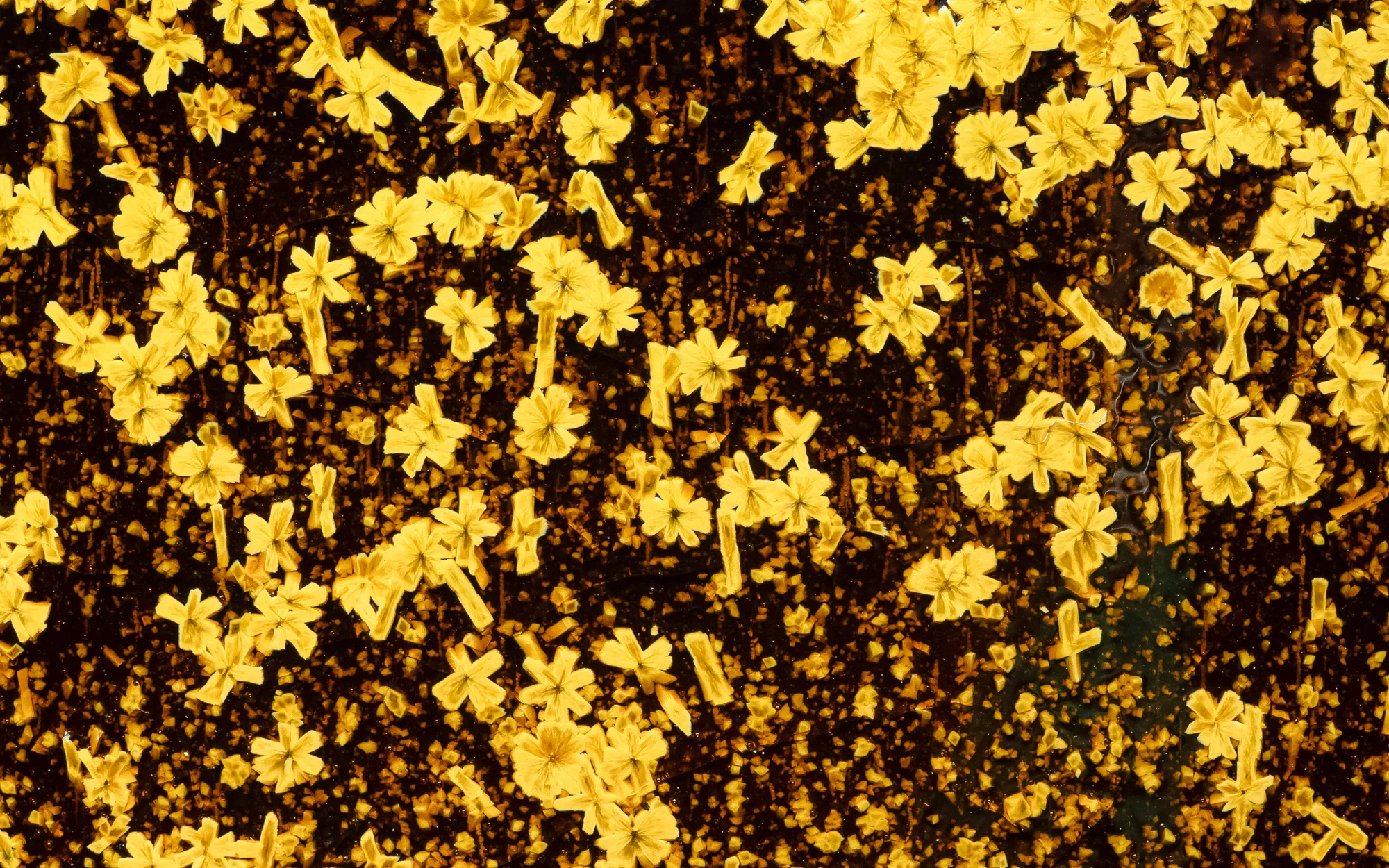 The most important thing is what is invisible to the eye